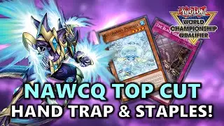 NAWCQ Top Cut Most Played Hand Traps and Side Deck Staples! | Post INFO (Infinite Forbidden)