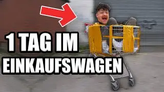 1 Tag im EINKAUFSWAGEN