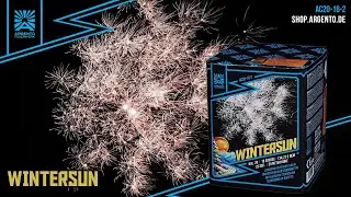 Wintersun (Batch 2024) - Argento/Funke