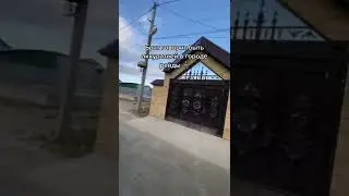 Жиза, не?
