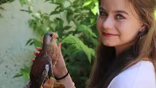 Ветрушка в двора на ТГ