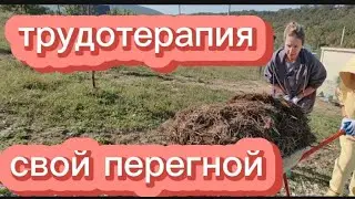 ТРУДОТЕРАПИЯ ДЛЯ ВСЕЙ СЕМЬИ | КАК КОЗА ВОСПИТЫВАЕТ КОЗЛЯТ | ЗЕМЛЯ ДЛЯ ГРЯДОК