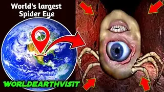 World's largest spider legs eye on google maps and google earth 🌎 #video #trending #worldearthvisit