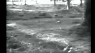 BANGLADESH GENOCIDE 1971   KHULNA University MASSACRE Low