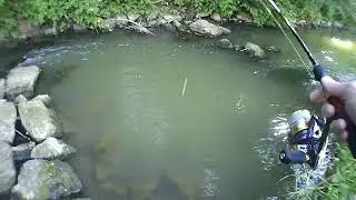 Переключаемся с форели .