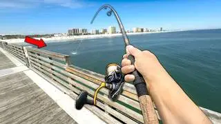 Florida PIER and BRIDGE Fishing! Eating Whatever I Catch.. (Catch and Cook)