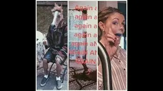 5 min and 30 seconds of tiktoks that are a BIG mood