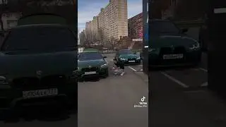 Стая и Алыча в городе #steel #ravshann #staya #renatko
