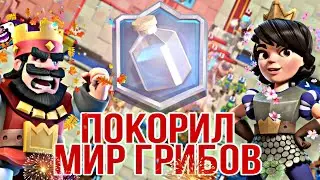 ВИДОС В КОТОРОМ Я НЕ ГОРЕЛ #Clashroyale #5600 #Global #Karimrose