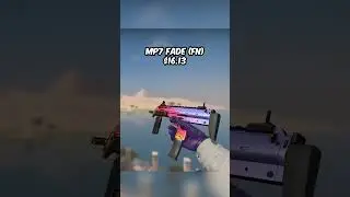 Rate My CSGO Inventory (T Side) 