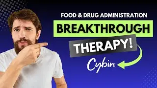 Cybin Receives FDA Breakthrough Therapy Designation - Long Term Biotech Idea Update (NYSE: CYBN)