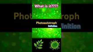 🌿🦠 Photoautotroph Pronunciation & Meaning | What is a Photoautotroph? 