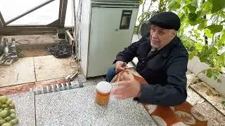 Как очистить мед от посторонних примесей