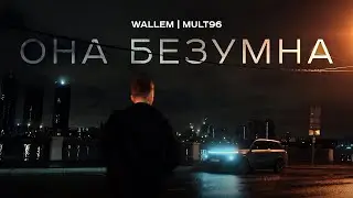 Wallem, Mult96 - Она безумна