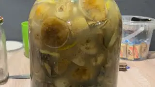 СОЛЁНЫЕ (КВАШЕНЫЕ) ПОДОСИНОВИКИ И БОРОВИКИ