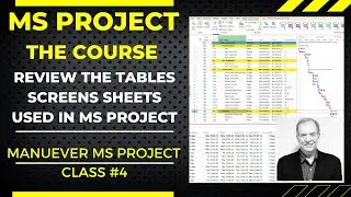 ACCESSING & MANEUVERING TABLES, SHEETS, SCREENS IN MS PROJECT THE COURSE VIDEO NO. 4