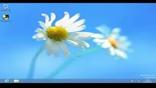 Что произойдет если импортировать реестр из Windows 95 и Windows 11 в Windows 8