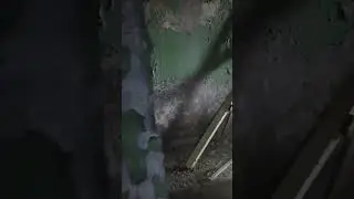 Припять, квартира