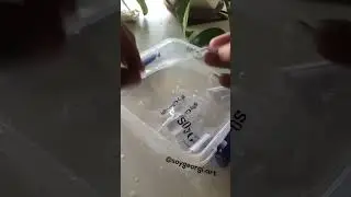 ETIQUETAS transparentes. Decime si querés que te cuente con más detalles cómo hacerlas! 💬