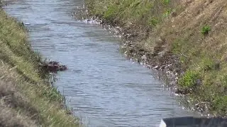 El Vado Dam closure strains Rio Grande Valley farmers amid water shortages