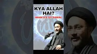 KYA ALLAH HAI? #allamashahenshahnaqvi #shia #viral