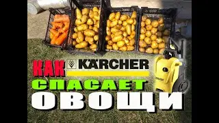 СРОЧНО!!! ВСЕМ ПОМЫТЬ ОВОЩИ