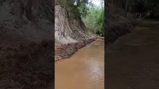 Снова ручей фей