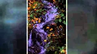 Curso de fotografía digital reflex cap 6 (1/2)