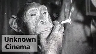 Hat Darwin recht? (Germany) 1920's