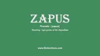 zapus: How to pronounce zapus with Phonetic and Examples
