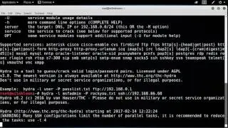 How to  Using Hydra