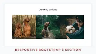 Design Responsive Bootstrap 5 Website Section - Bootstrap 5, HTML & CSS