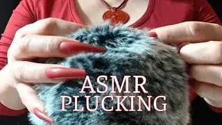 Rough ASMR | Plucking and Bug Searching on the Fluffy Mic Cover