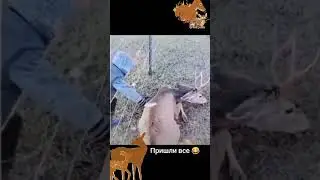 Помог