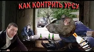 META 2017! КАК КОНТРИТЬ УРСУ?! Dota 228