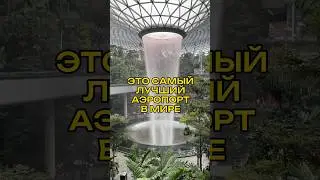 Лучший аэропорт мира в Сингапуре