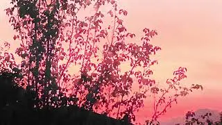 Java Chiba - Music