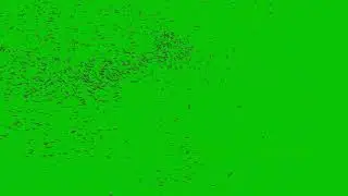 Chroma Key - School Of Fish (Green Screen for Video Editing)
