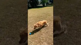 The one that got away 😅