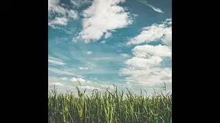 [FREE] Kidd G Country Type Beat 