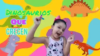 Puse Dinosaurios en agua ¿ habrán crecido ?