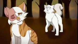 Flames With Glasses | Brightheart & Cloudtail MAP (PART 17)