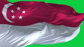 🚩Singapore Flag Waving | GREEN SCREEN & CHROMA MATTE🚩