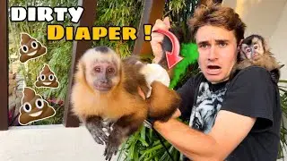 CHANGING My MONKEYS DIAPER ! What’s Inside ?!