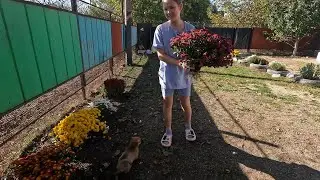 Живём в деревне/Обо всём по немногу