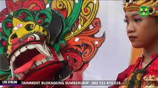 Tari Jaripah ( Perpisahan kelas 9 SMPN 1 PSG 2024 )