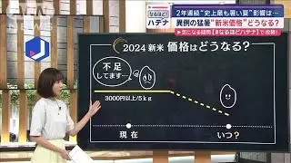 異例の猛暑、新米価格どうなる？　専門家の予想　2年連続「史上最も暑い夏」の影響【スーパーJチャンネル】(2024年9月9日)