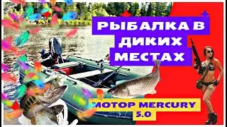 Рыбалка на диком месте. Мотор MERCURY 5.0