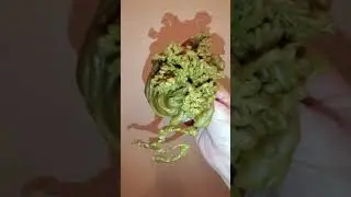 ПОРЧА НА СМЕРТЬ НА СЕМЬЮ ИЗВЕСТНОГО, УСПЕШНОГО СПОРТСМЕНА
