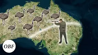 How Australia Keeps Losing Wars To Animals